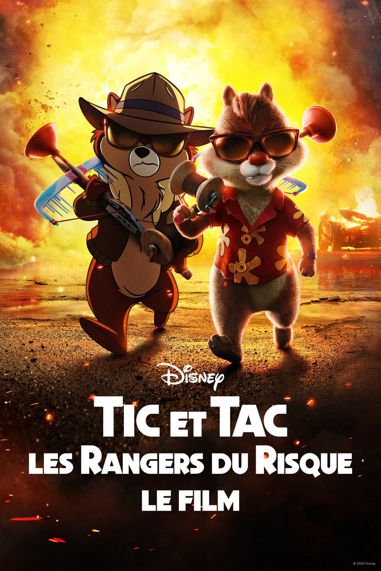Chip und Chap: Die Ritter des Rechts