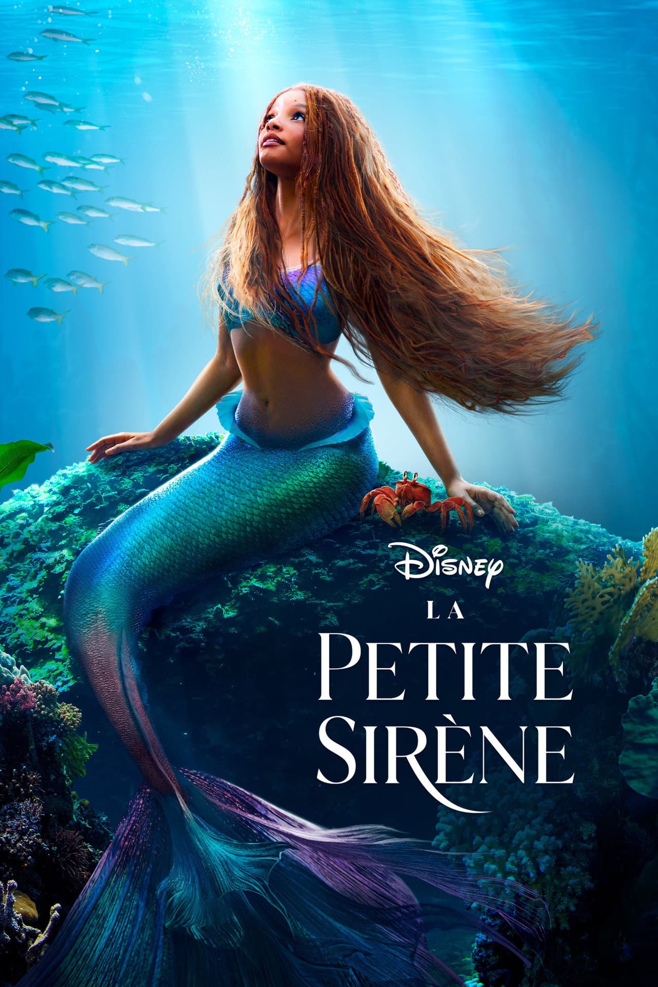 La sirenita