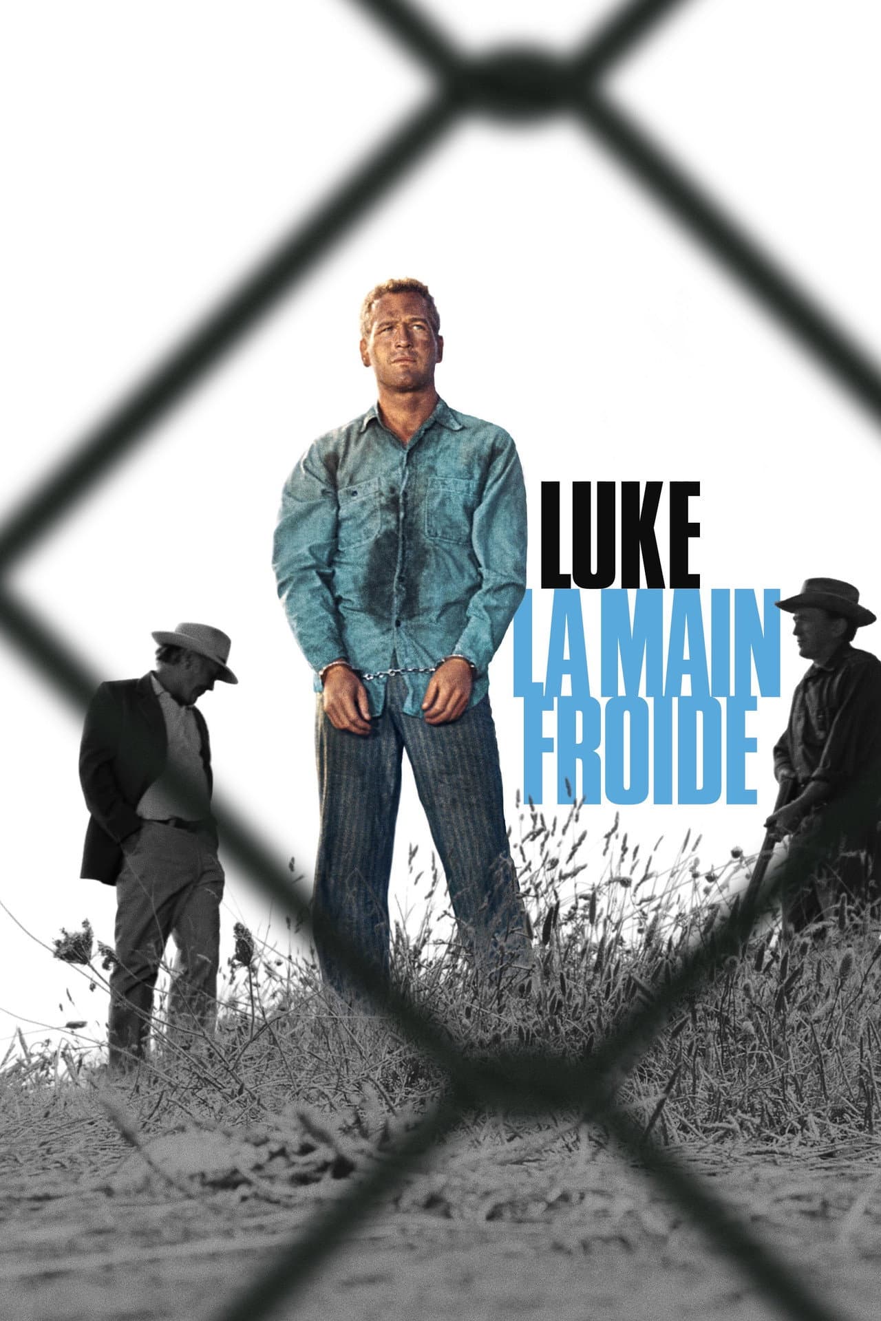 Cool Hand Luke