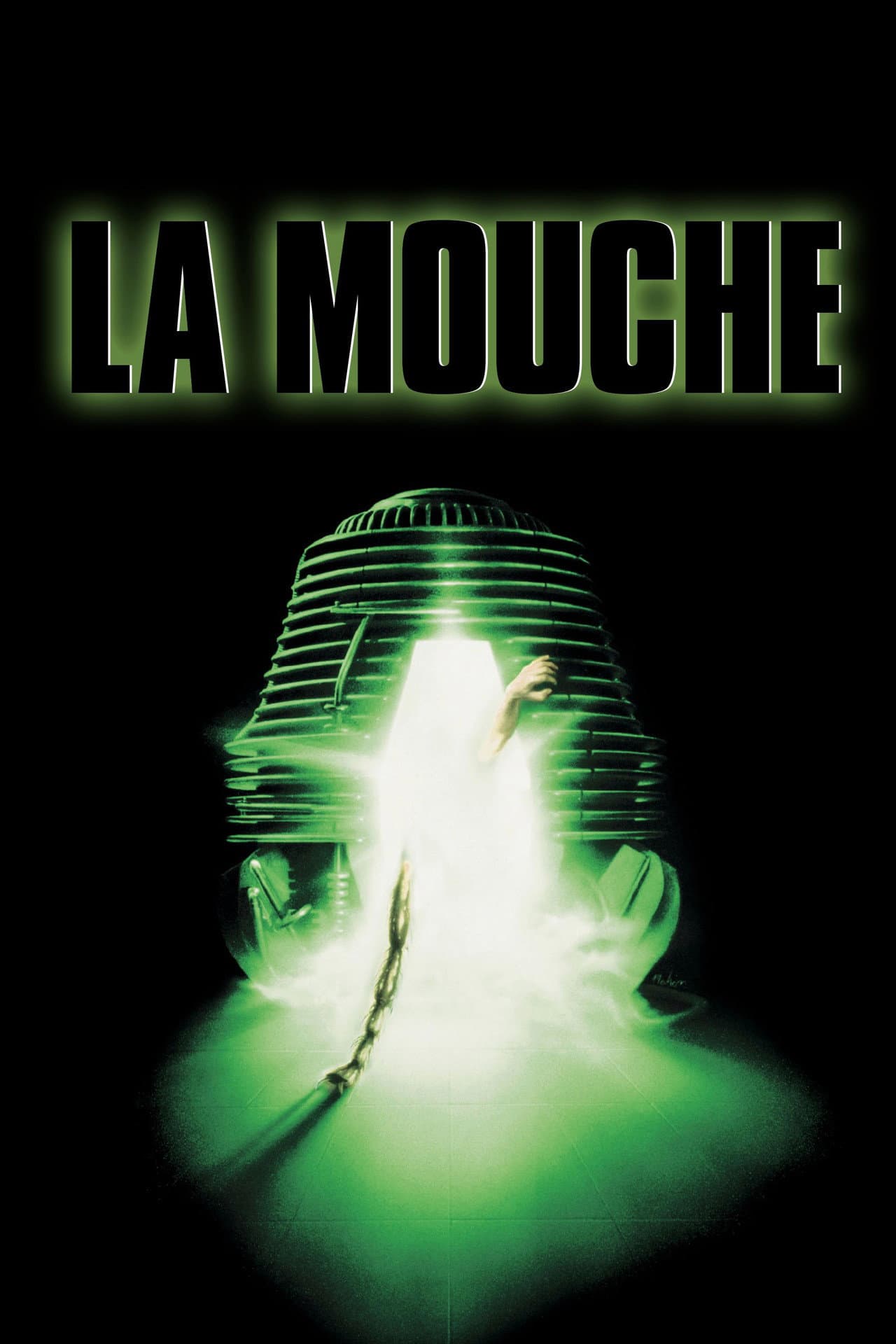 The Fly