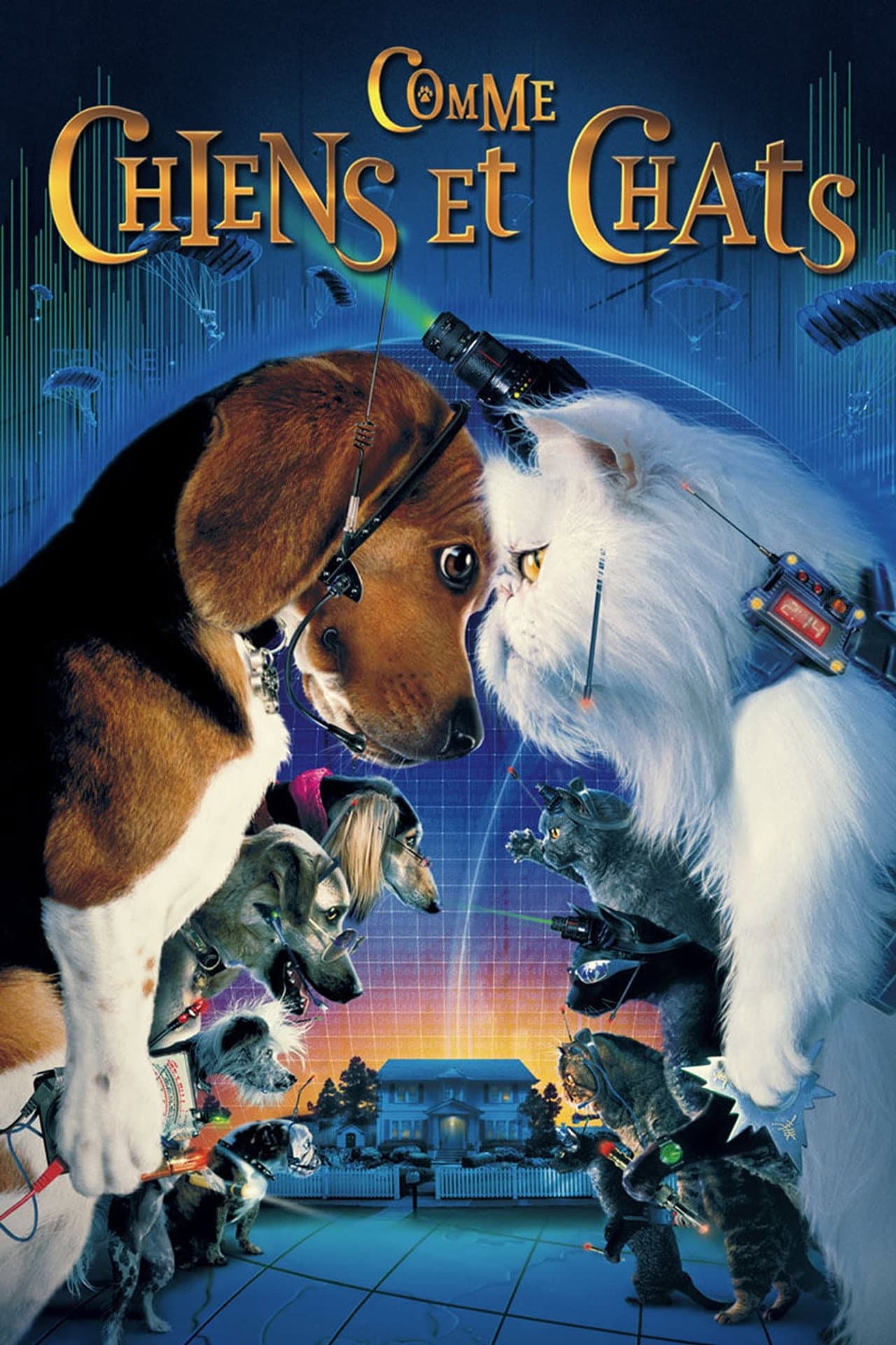 Como Perros y Gatos